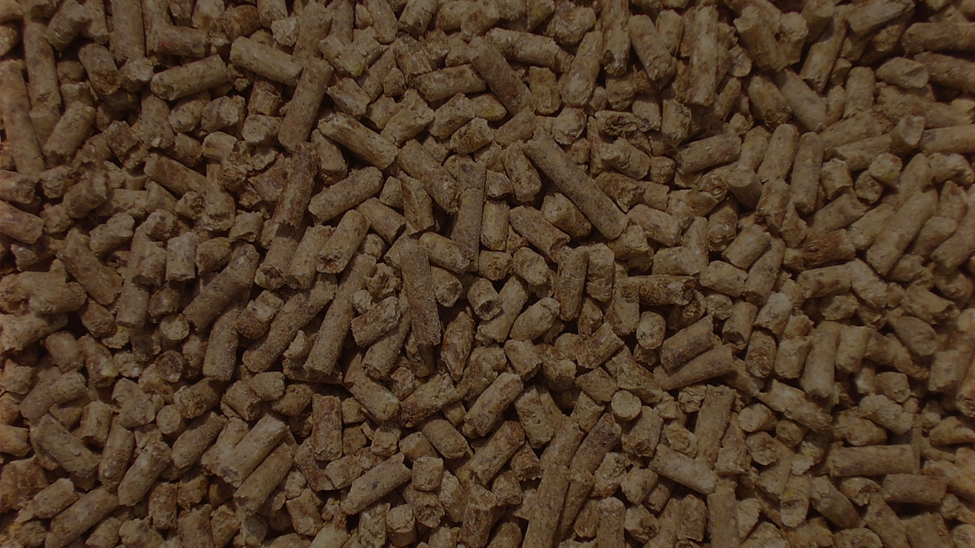 Welcome to Elgamal Group